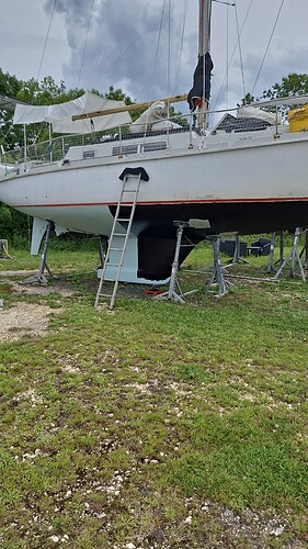 IMG-20240519-WA0021