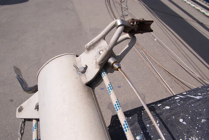 racines dans l'artimon